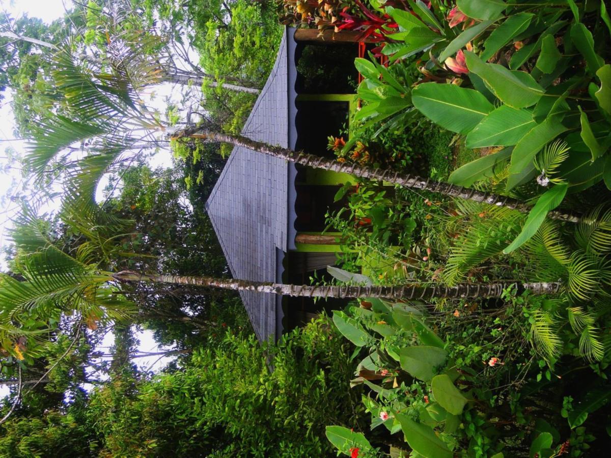 Dos Casitas Vila Ojochal Exterior foto