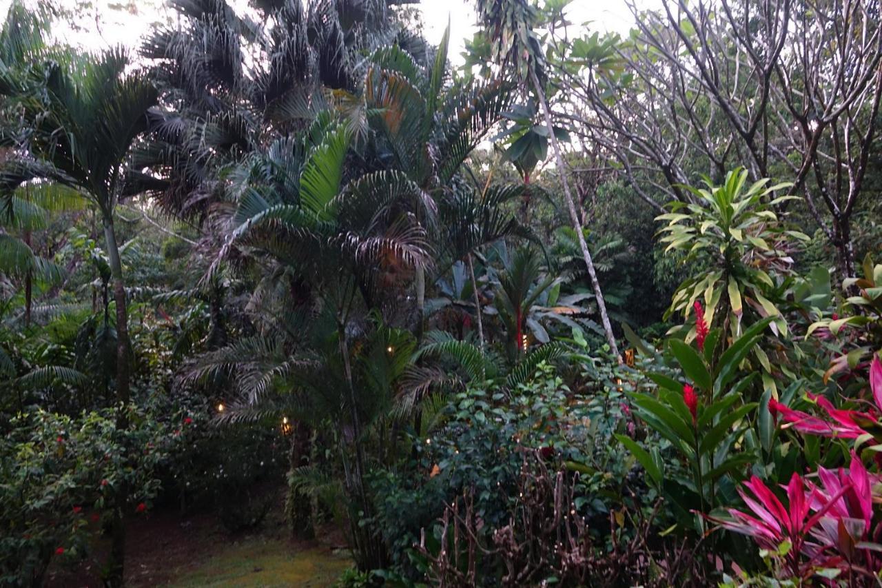 Dos Casitas Vila Ojochal Exterior foto